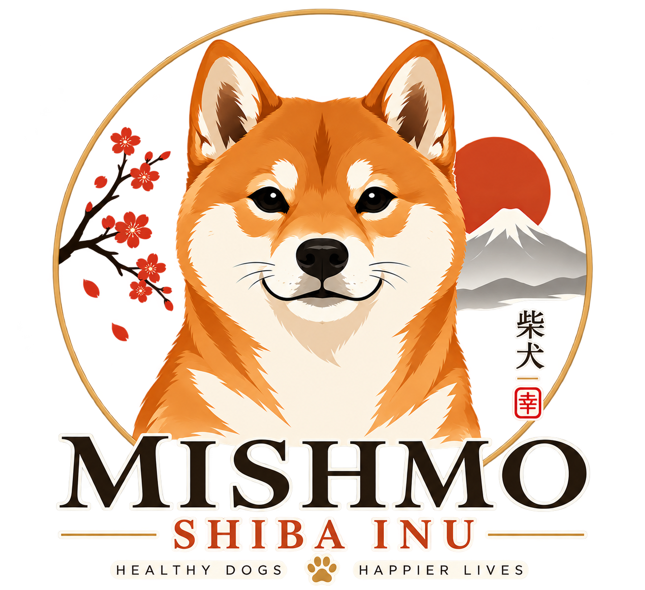 Mishmo Shiba Inu